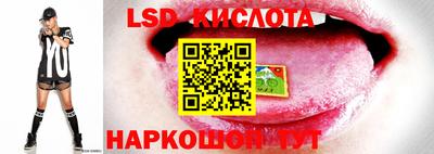 эйфоретик Краснокаменск