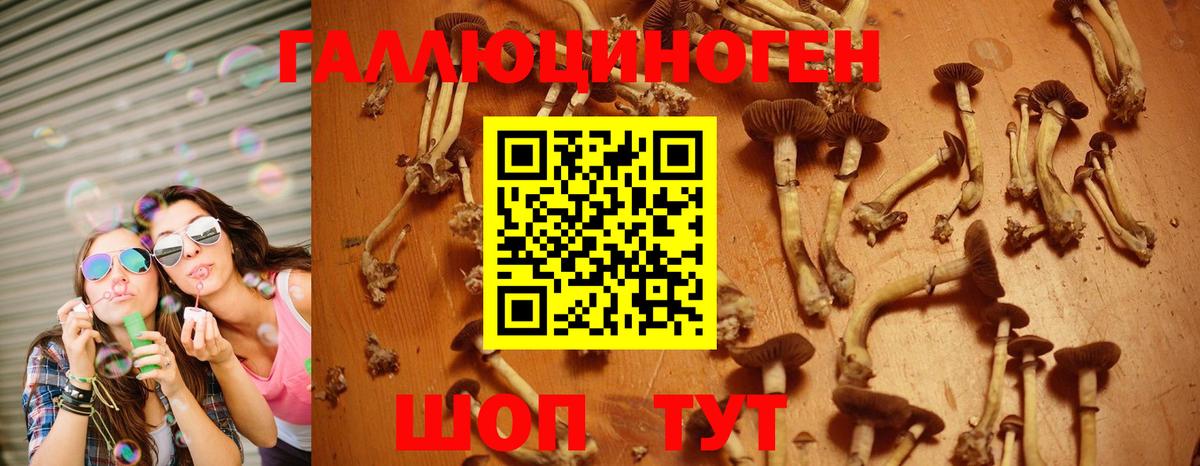 Псилоцибиновые грибы MAGIC MUSHROOMS  Галлюциногенные грибы Psilocybine cubensis  Вход с VPN  Кохма 
